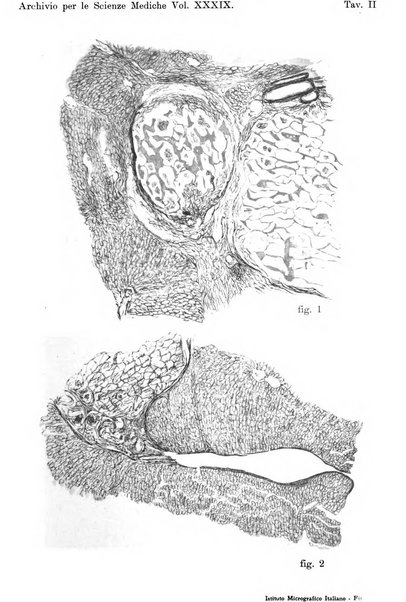 Archivio per le scienze mediche