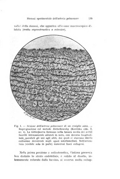 Archivio per le scienze mediche