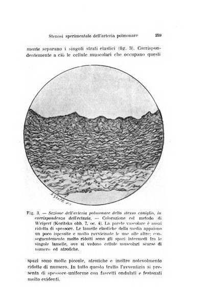 Archivio per le scienze mediche