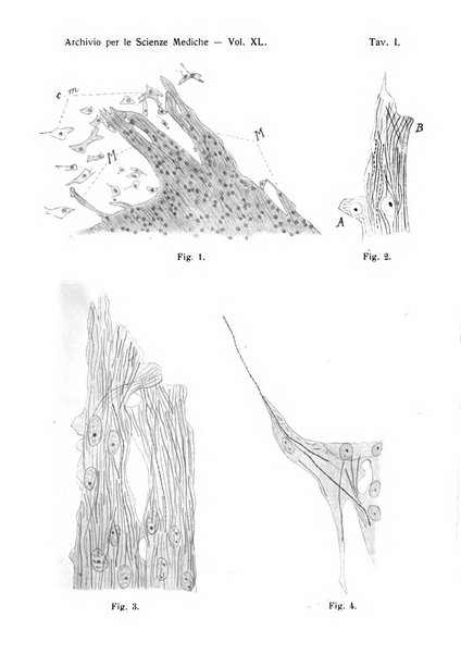 Archivio per le scienze mediche