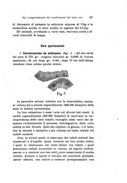 Archivio per le scienze mediche