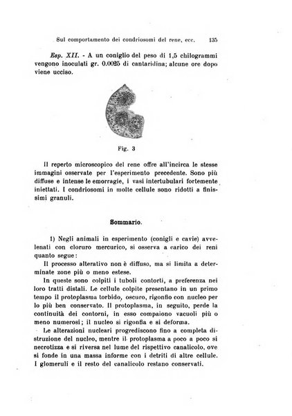 Archivio per le scienze mediche