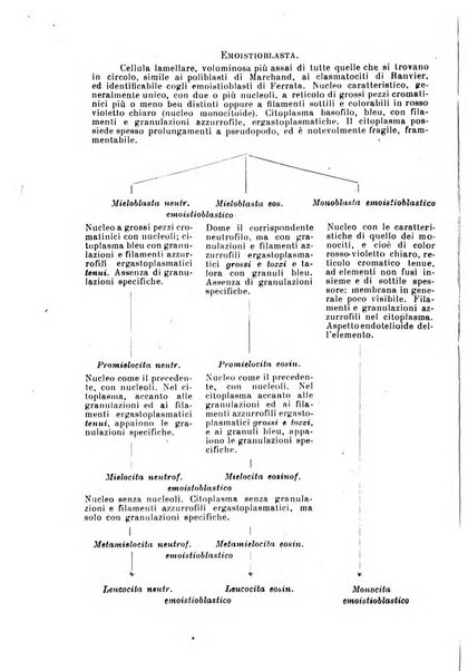 Archivio per le scienze mediche