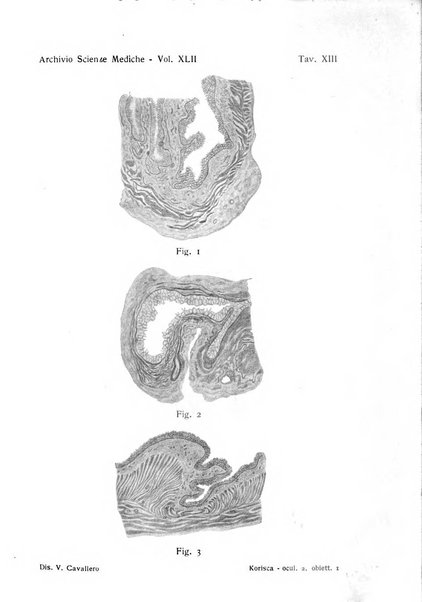 Archivio per le scienze mediche