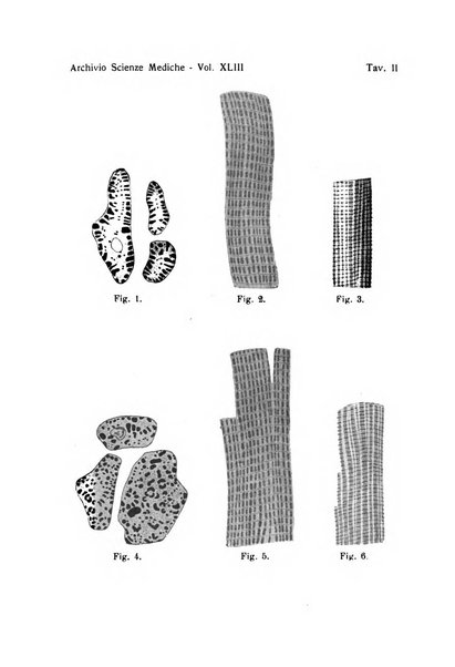 Archivio per le scienze mediche