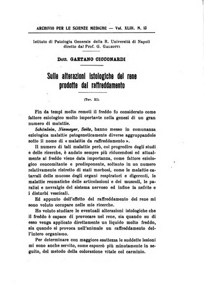 Archivio per le scienze mediche