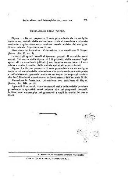 Archivio per le scienze mediche