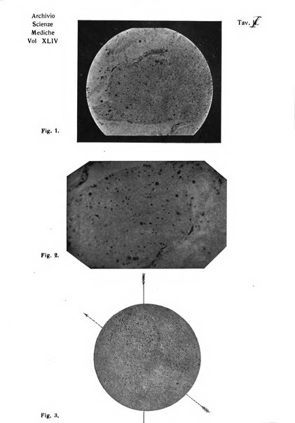 Archivio per le scienze mediche