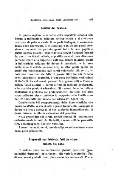 Archivio per le scienze mediche