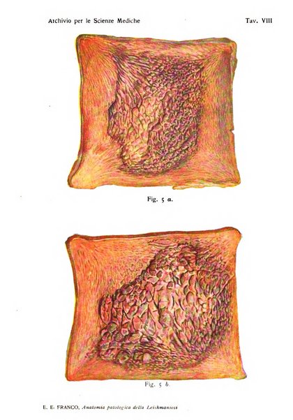 Archivio per le scienze mediche