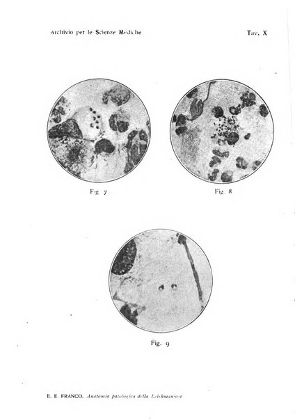 Archivio per le scienze mediche