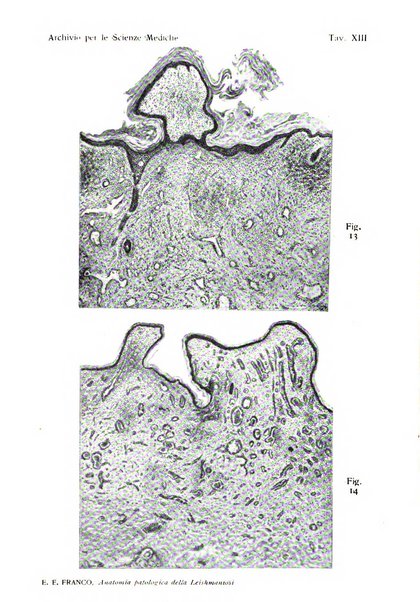 Archivio per le scienze mediche