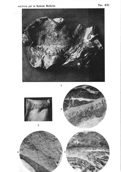 Archivio per le scienze mediche