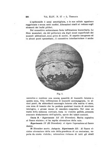 Archivio per le scienze mediche