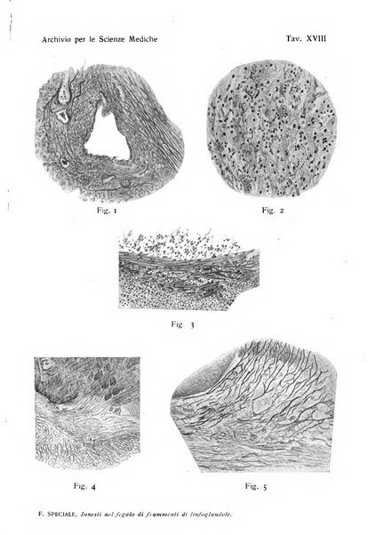 Archivio per le scienze mediche