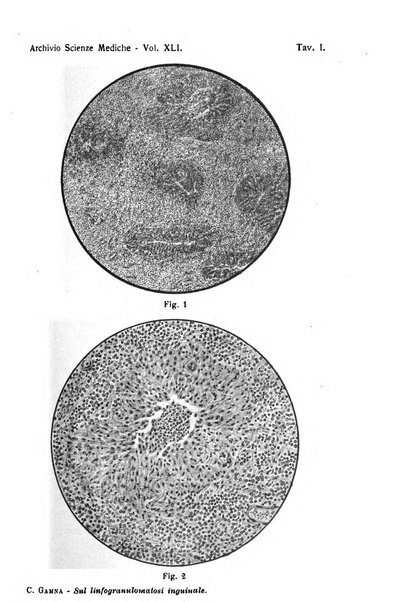 Archivio per le scienze mediche