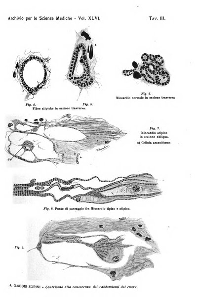 Archivio per le scienze mediche