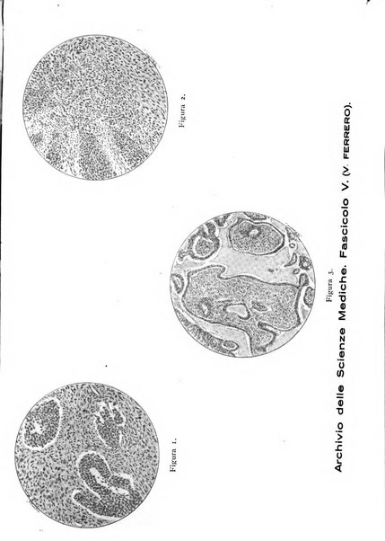 Archivio per le scienze mediche