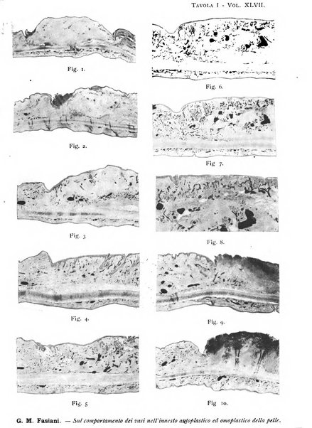 Archivio per le scienze mediche