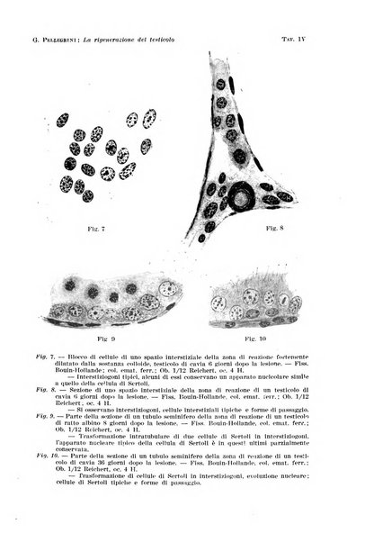 Archivio per le scienze mediche