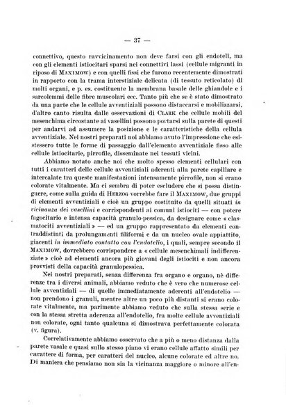 Archivio per le scienze mediche