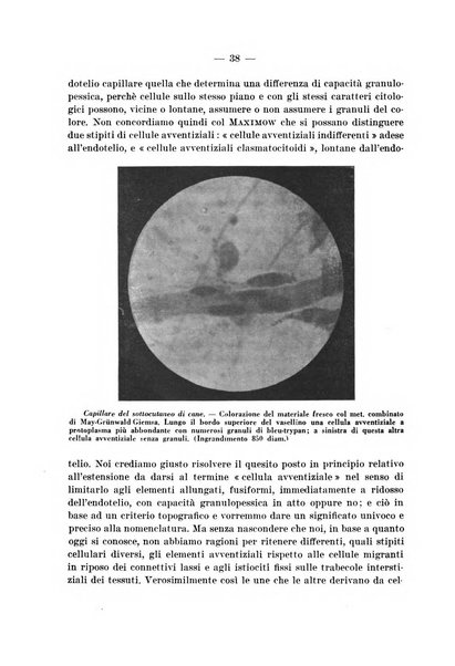 Archivio per le scienze mediche