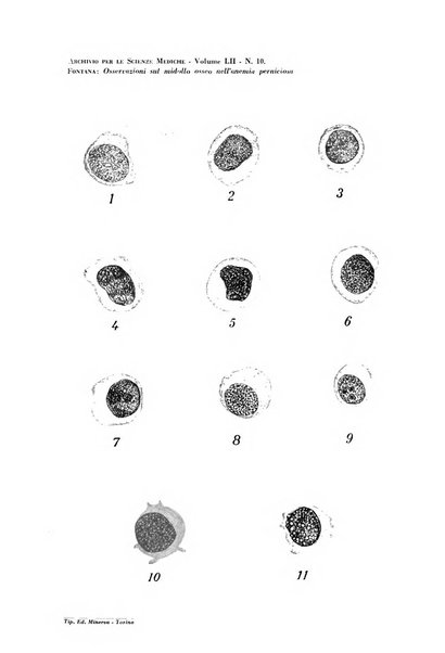 Archivio per le scienze mediche