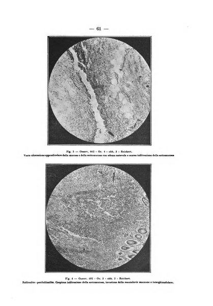 Archivio per le scienze mediche