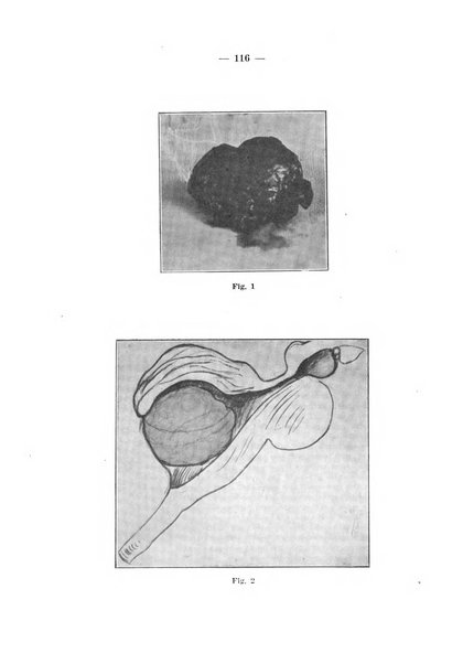 Archivio per le scienze mediche