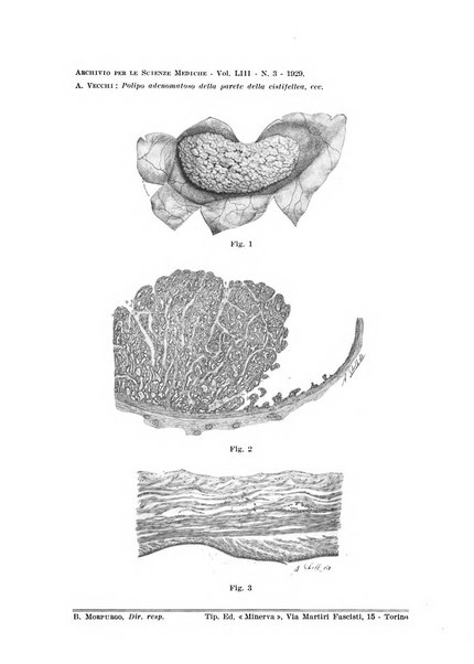 Archivio per le scienze mediche