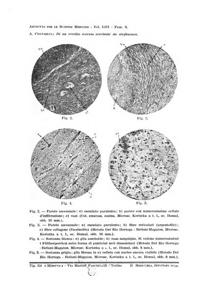 Archivio per le scienze mediche