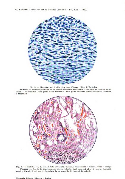 Archivio per le scienze mediche