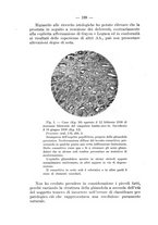 giornale/TO00176894/1931/unico/00000210