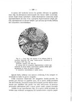giornale/TO00176894/1931/unico/00000211