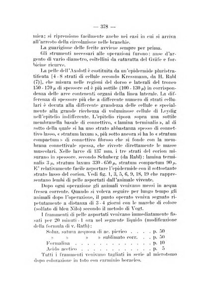 Archivio per le scienze mediche