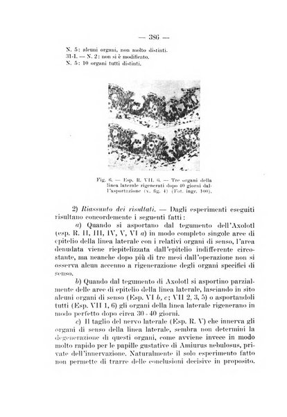 Archivio per le scienze mediche