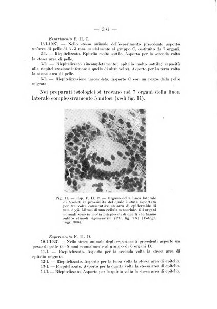 Archivio per le scienze mediche