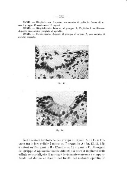 Archivio per le scienze mediche