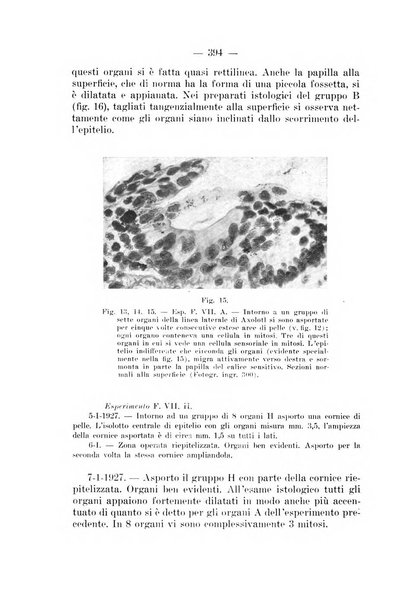 Archivio per le scienze mediche