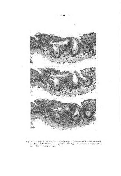 Archivio per le scienze mediche