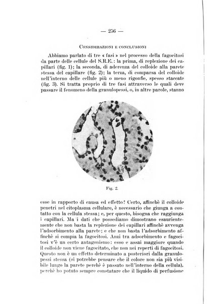 Archivio per le scienze mediche