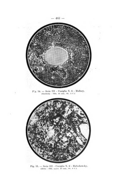 Archivio per le scienze mediche