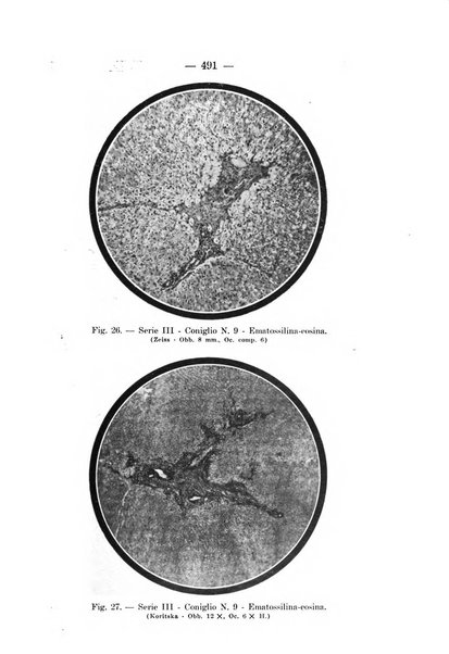 Archivio per le scienze mediche