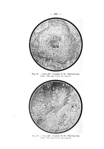 Archivio per le scienze mediche