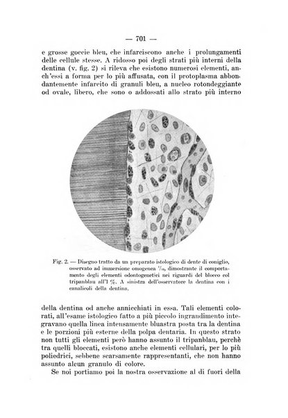 Archivio per le scienze mediche