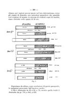 giornale/TO00176894/1934/unico/00000335