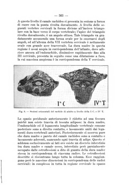 Archivio per le scienze mediche