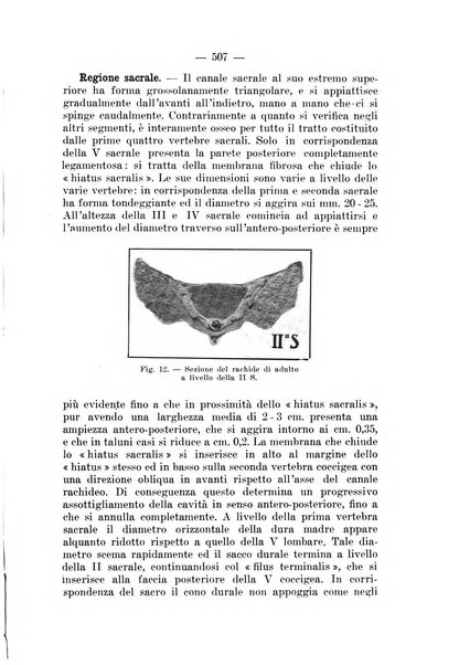 Archivio per le scienze mediche