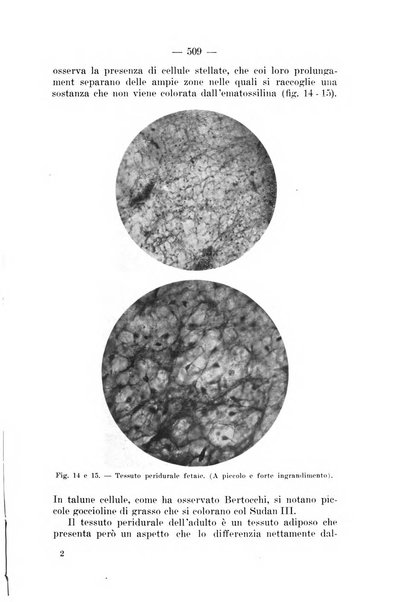 Archivio per le scienze mediche