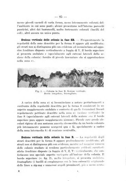 Archivio per le scienze mediche